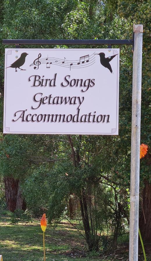 Bird Songs Getaway Accommodation Cabbage Tree Creek 外观 照片