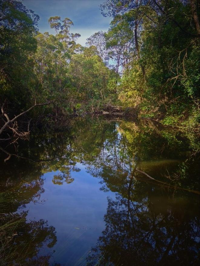 Bird Songs Getaway Accommodation Cabbage Tree Creek 外观 照片