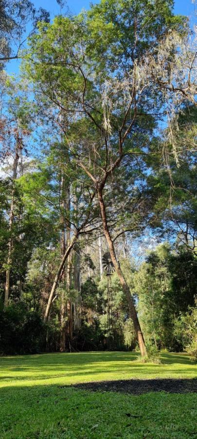 Bird Songs Getaway Accommodation Cabbage Tree Creek 外观 照片